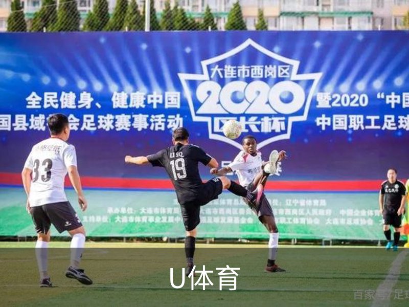 U体育官网· (中国)唯一官方网站